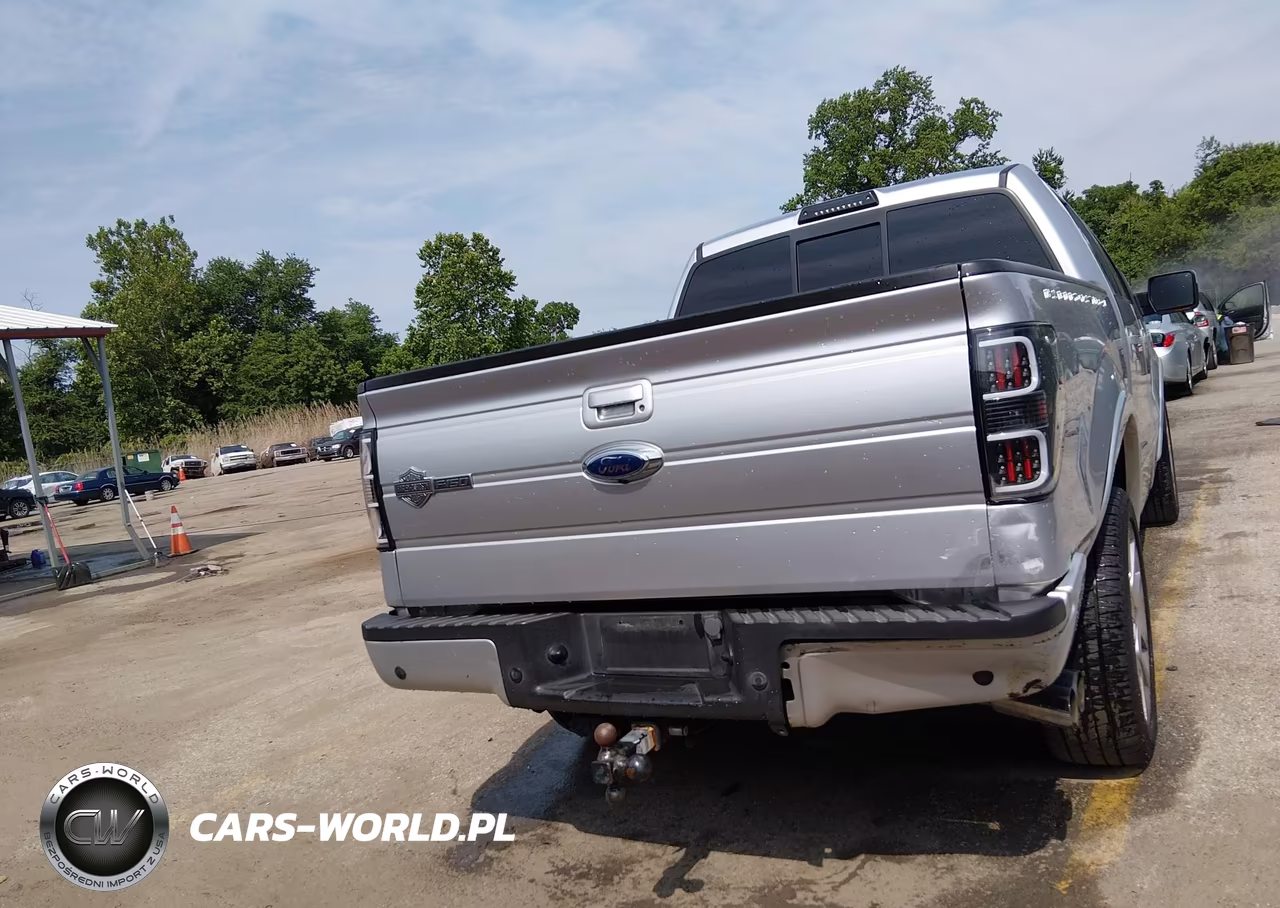 2011 Ford F-150 Harley-Davidson VIN:1FTFW1E61BFA54385 - 16