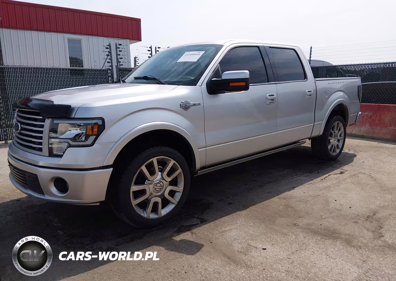 2011 Ford F-150 Harley-Davidson VIN:1FTFW1E61BFA54385 - 2