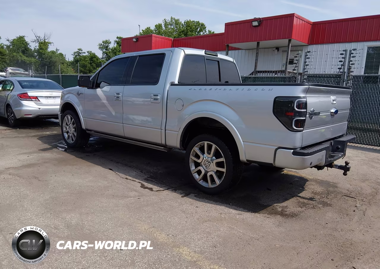 2011 Ford F-150 Harley-Davidson VIN:1FTFW1E61BFA54385 - 3