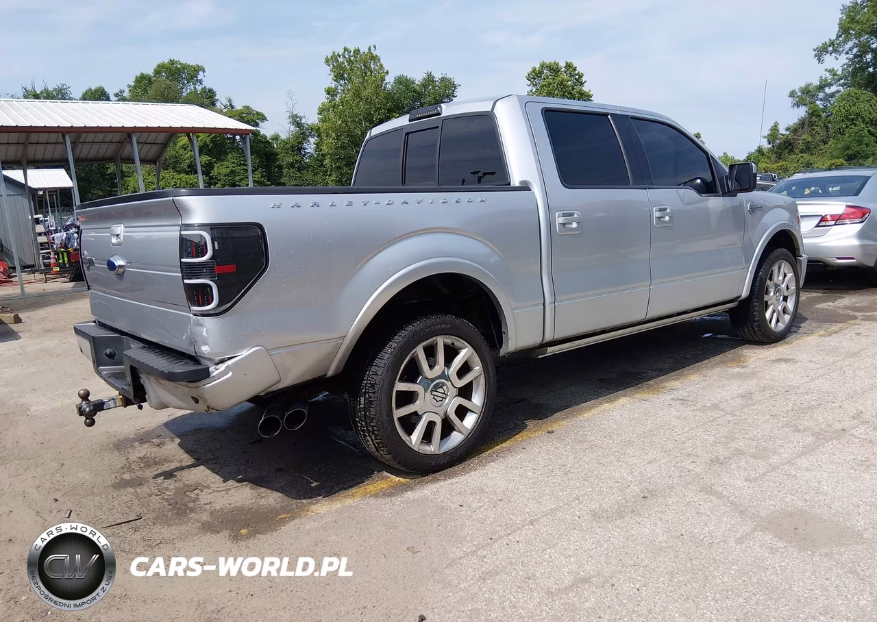 2011 Ford F-150 Harley-Davidson VIN:1FTFW1E61BFA54385 - 4