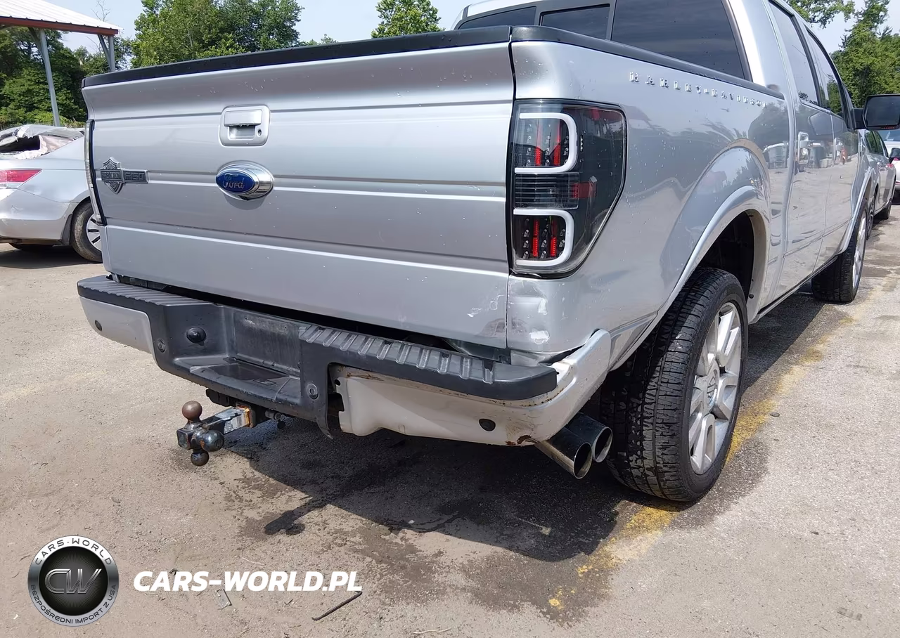 2011 Ford F-150 Harley-Davidson VIN:1FTFW1E61BFA54385 - 6
