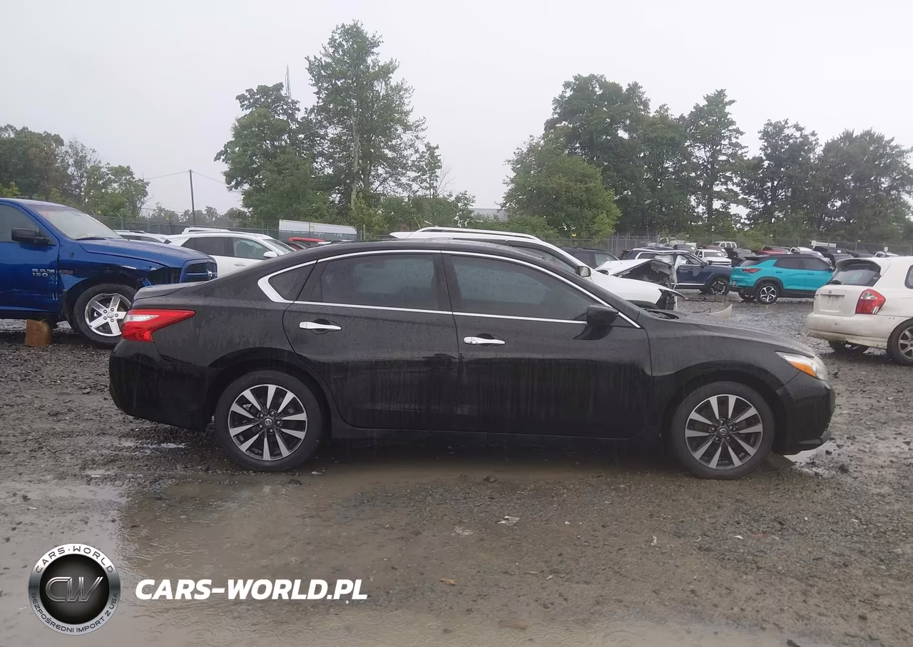 2017 Nissan Altima 2.5 Sv VIN:1N4AL3AP0HC243493 - 13