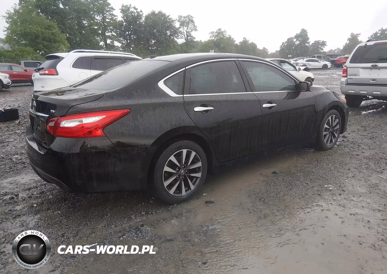 2017 Nissan Altima 2.5 Sv VIN:1N4AL3AP0HC243493 - 4