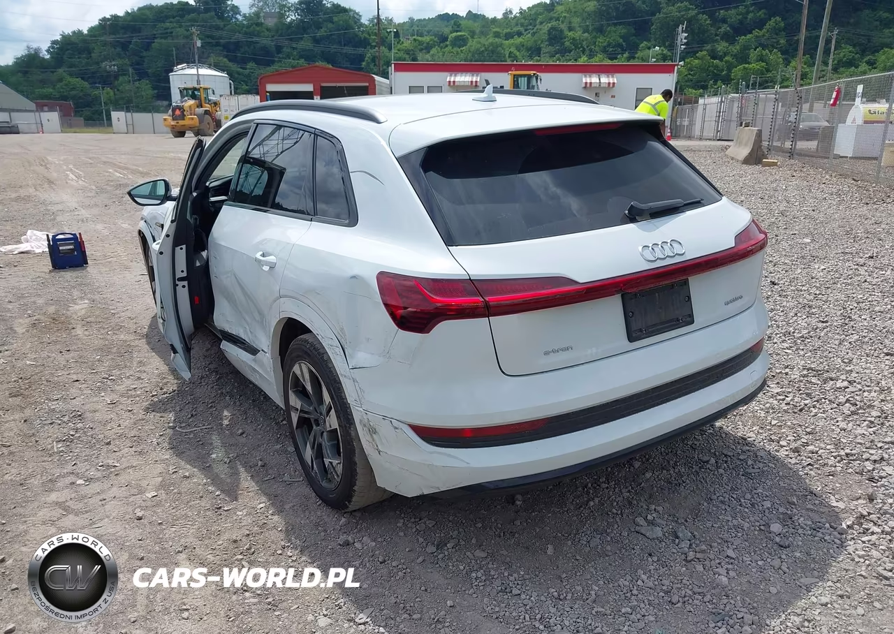 2022 Audi E-Tron Premium Quattro VIN:WA1AAAGE7NB005095 - 3