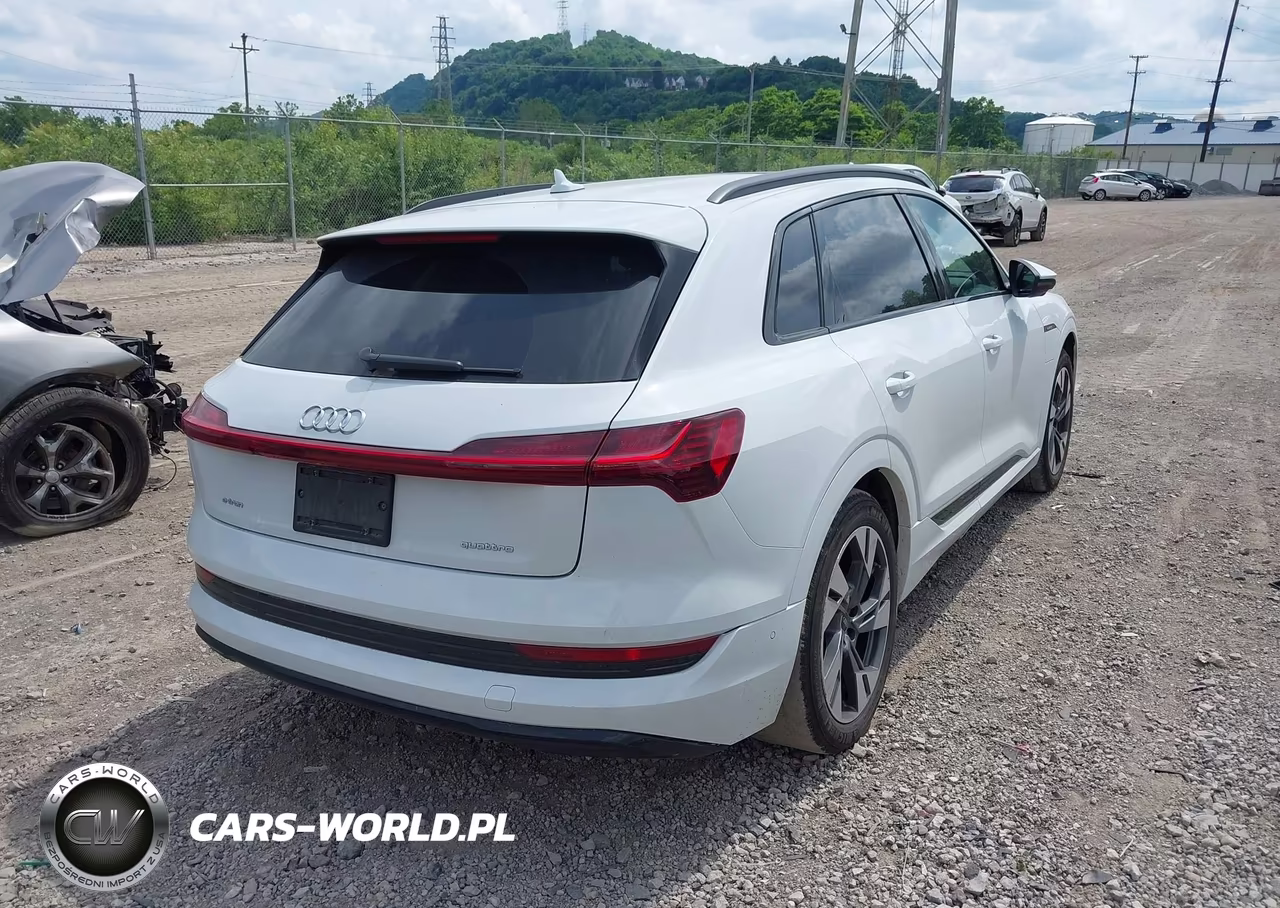 2022 Audi E-Tron Premium Quattro VIN:WA1AAAGE7NB005095 - 4