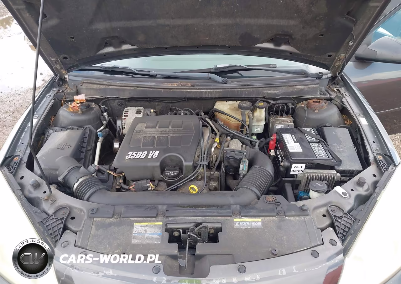 2006 Pontiac G6 VIN:1G2ZG558864267326 - 10