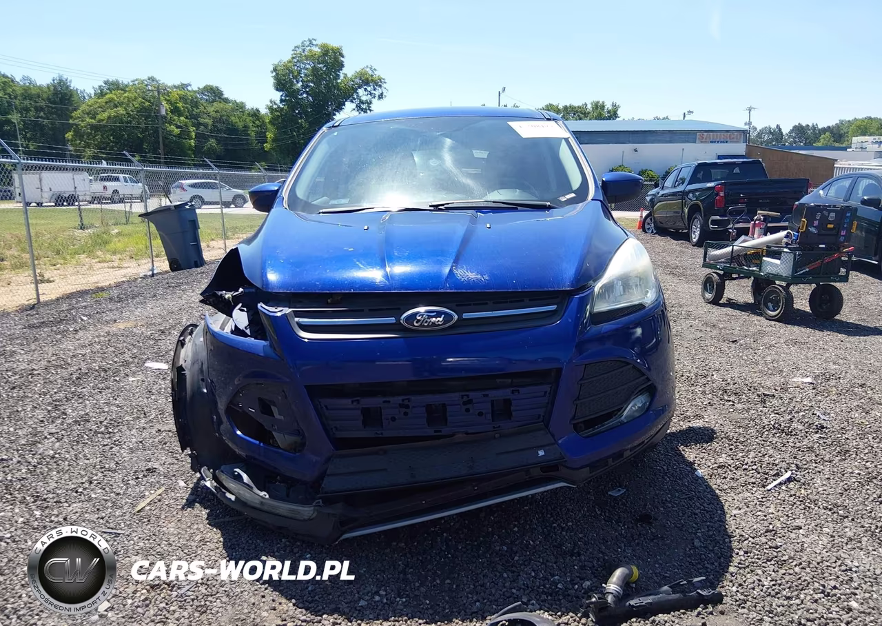 2016 Ford Escape Se VIN:1FMCU0GXXGUC81839 - 12