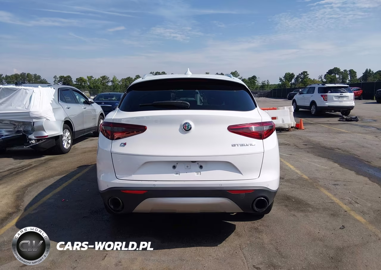 2018 Alfa Romeo Stelvio Awd VIN:ZASFAKAN3J7B83228 - 17