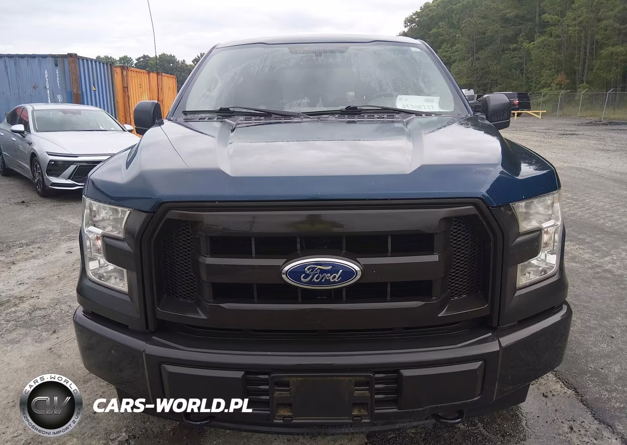 2017 Ford F-150 Xl VIN:1FTEW1E84HKD63684 - 16