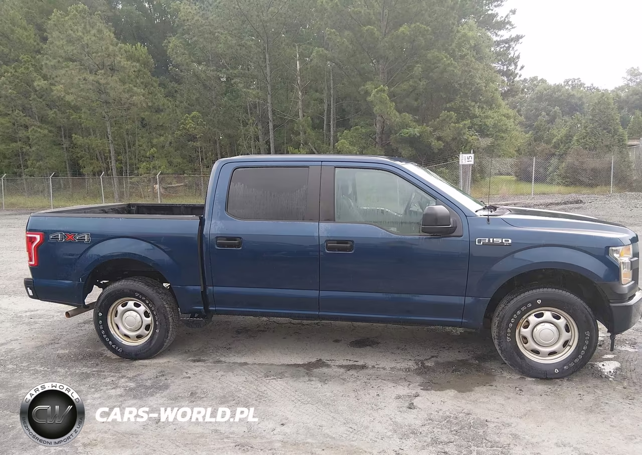 2017 Ford F-150 Xl VIN:1FTEW1E84HKD63684 - 17