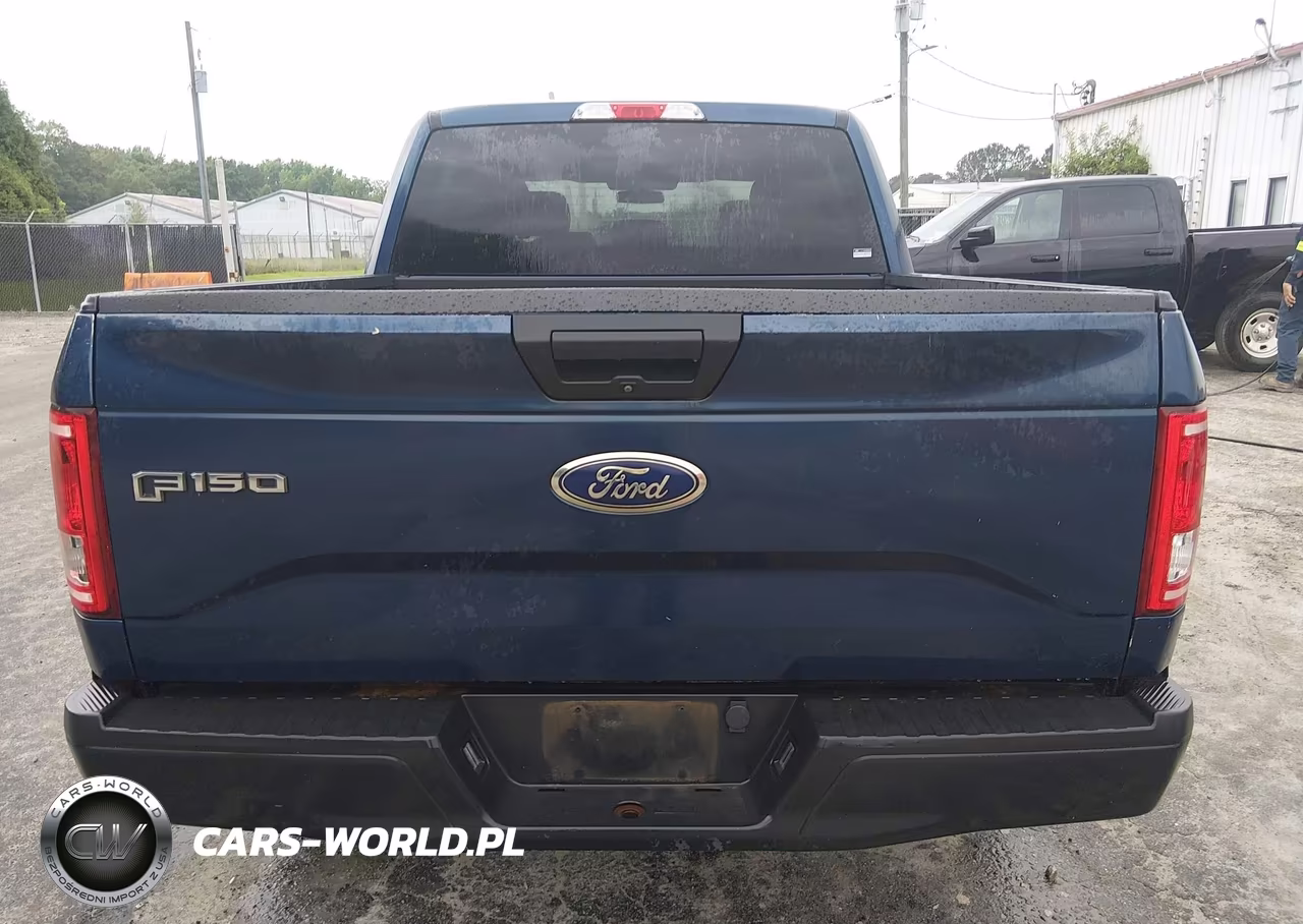 2017 Ford F-150 Xl VIN:1FTEW1E84HKD63684 - 20