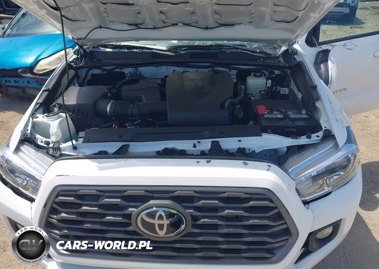 2023 Toyota Tacoma Trd Off Road VIN:3TMCZ5ANXPM544068 - 10