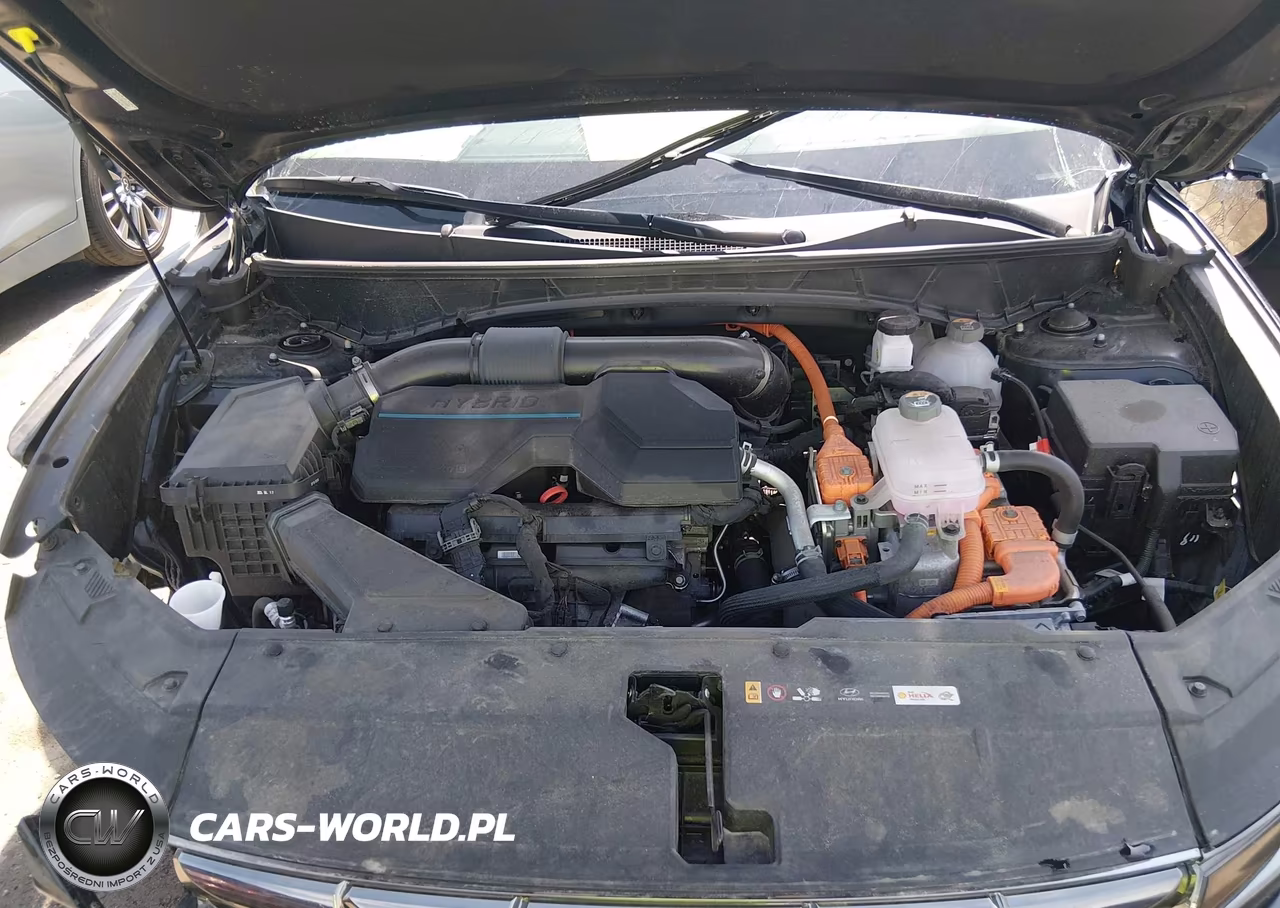 2024 Hyundai Tucson Hybrid Limited VIN:KM8JECD18RU220465 - 10