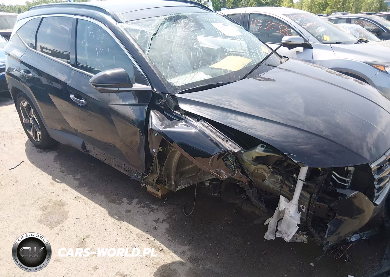 2024 Hyundai Tucson Hybrid Limited VIN:KM8JECD18RU220465 - 12