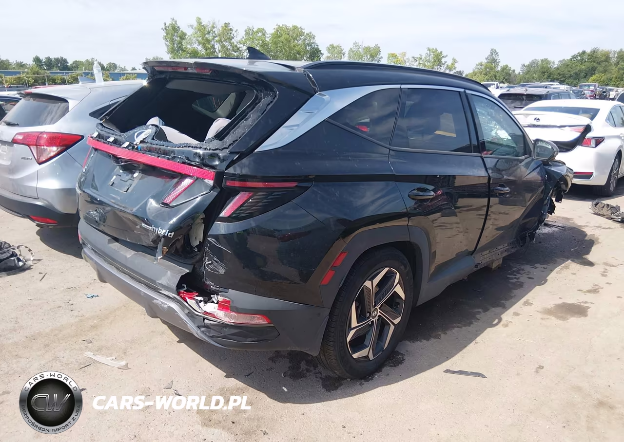 2024 Hyundai Tucson Hybrid Limited VIN:KM8JECD18RU220465 - 4