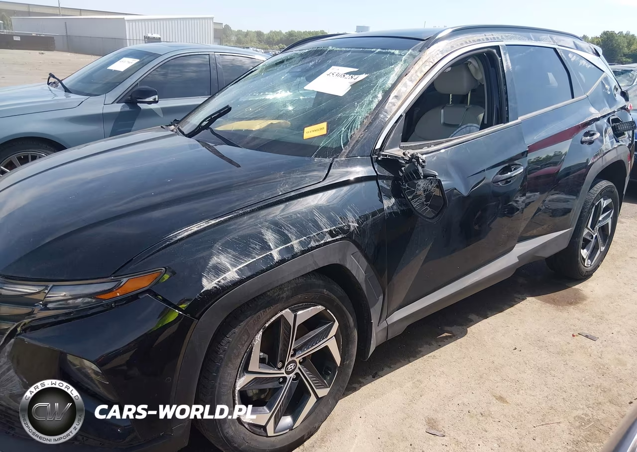 2024 Hyundai Tucson Hybrid Limited VIN:KM8JECD18RU220465 - 6