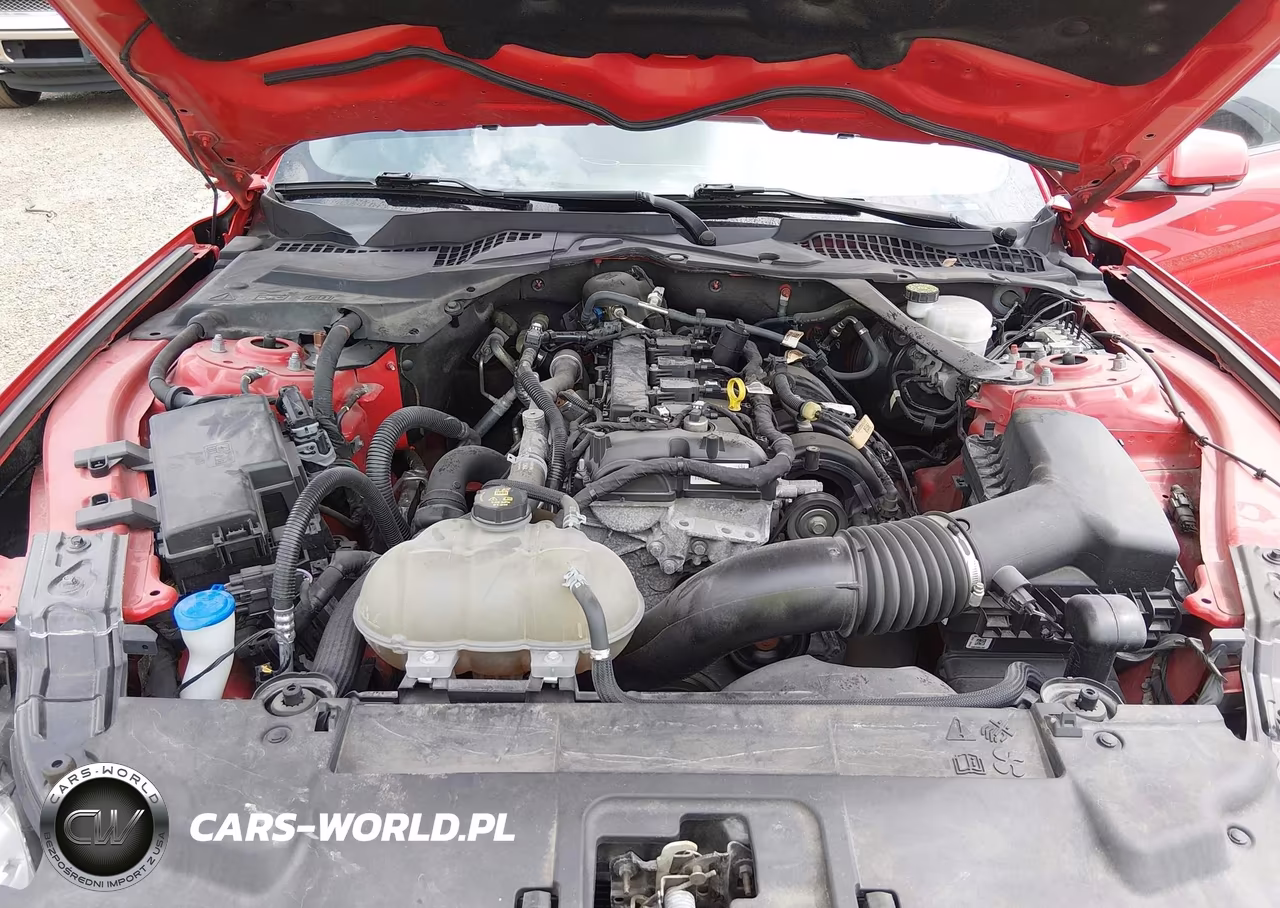 2022 Ford Mustang Ecoboost Premium VIN:1FATP8UH3N5118891 - 10