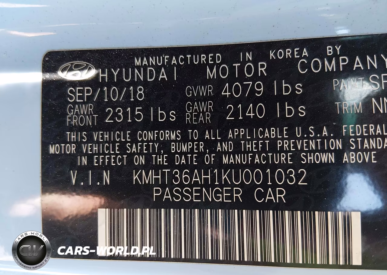 2019 Hyundai Veloster N VIN:KMHT36AH1KU001032 - 9