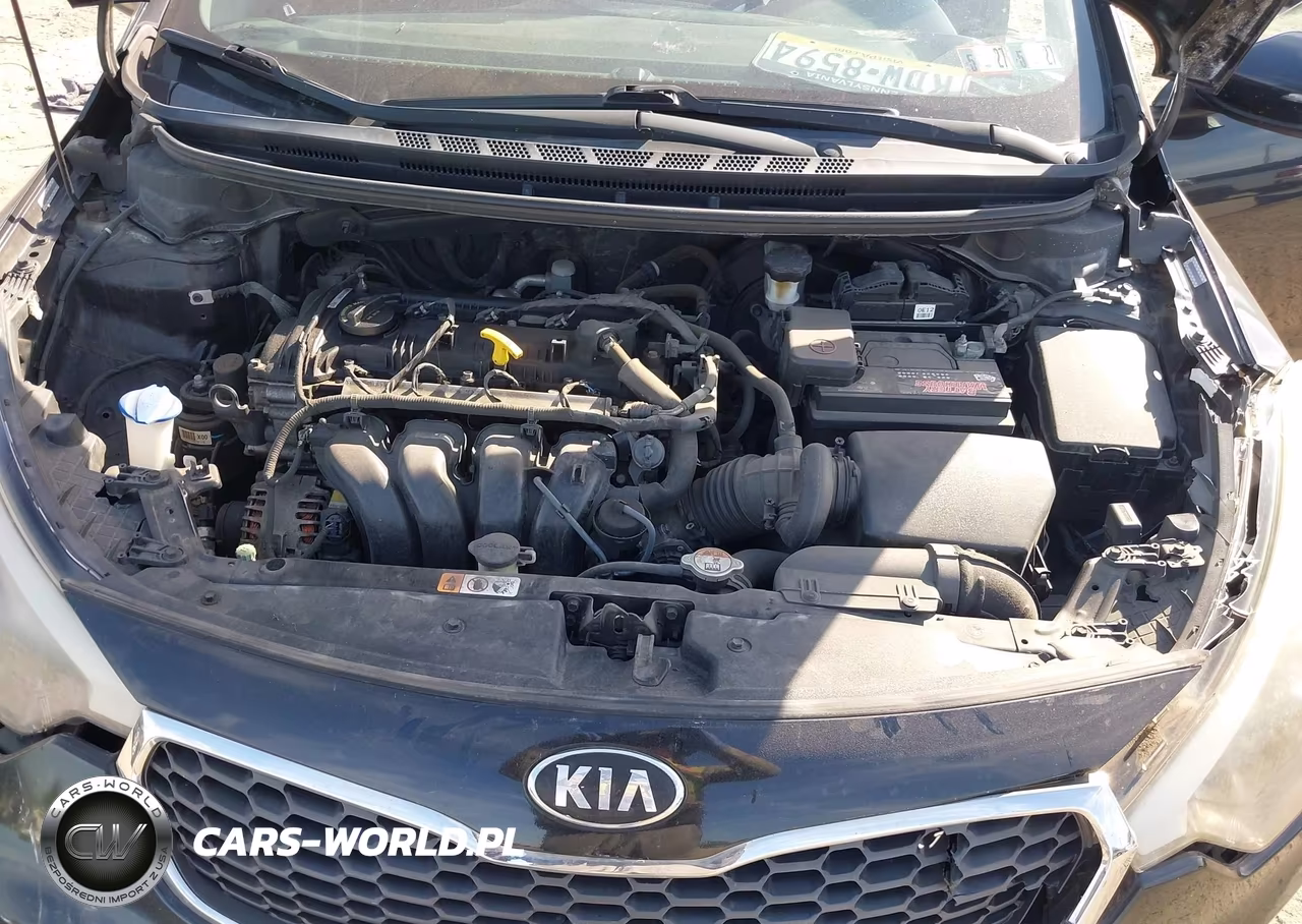 2015 Kia Forte Lx VIN:KNAFX4A68F5349531 - 10