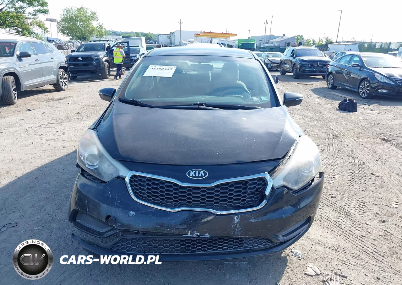 2015 Kia Forte Lx VIN:KNAFX4A68F5349531 - 12
