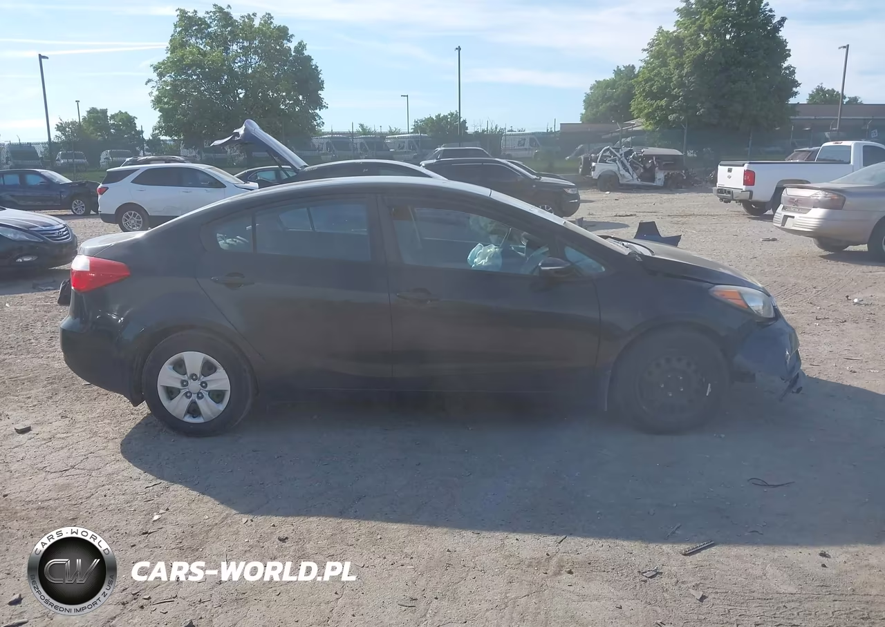 2015 Kia Forte Lx VIN:KNAFX4A68F5349531 - 13