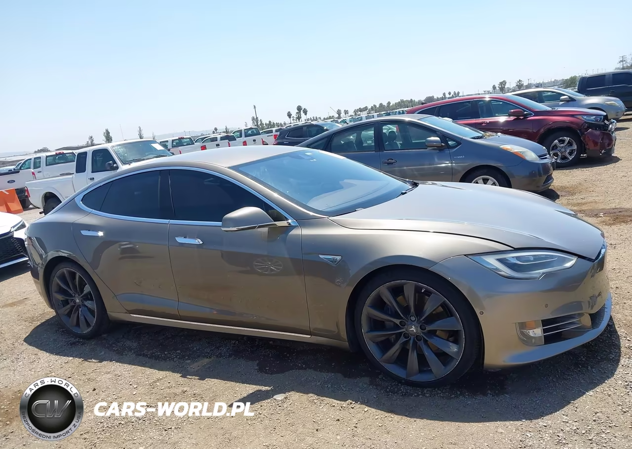 2016 Tesla Model S 60-70-75-85 VIN:5YJSA1E19GF138175 - 13