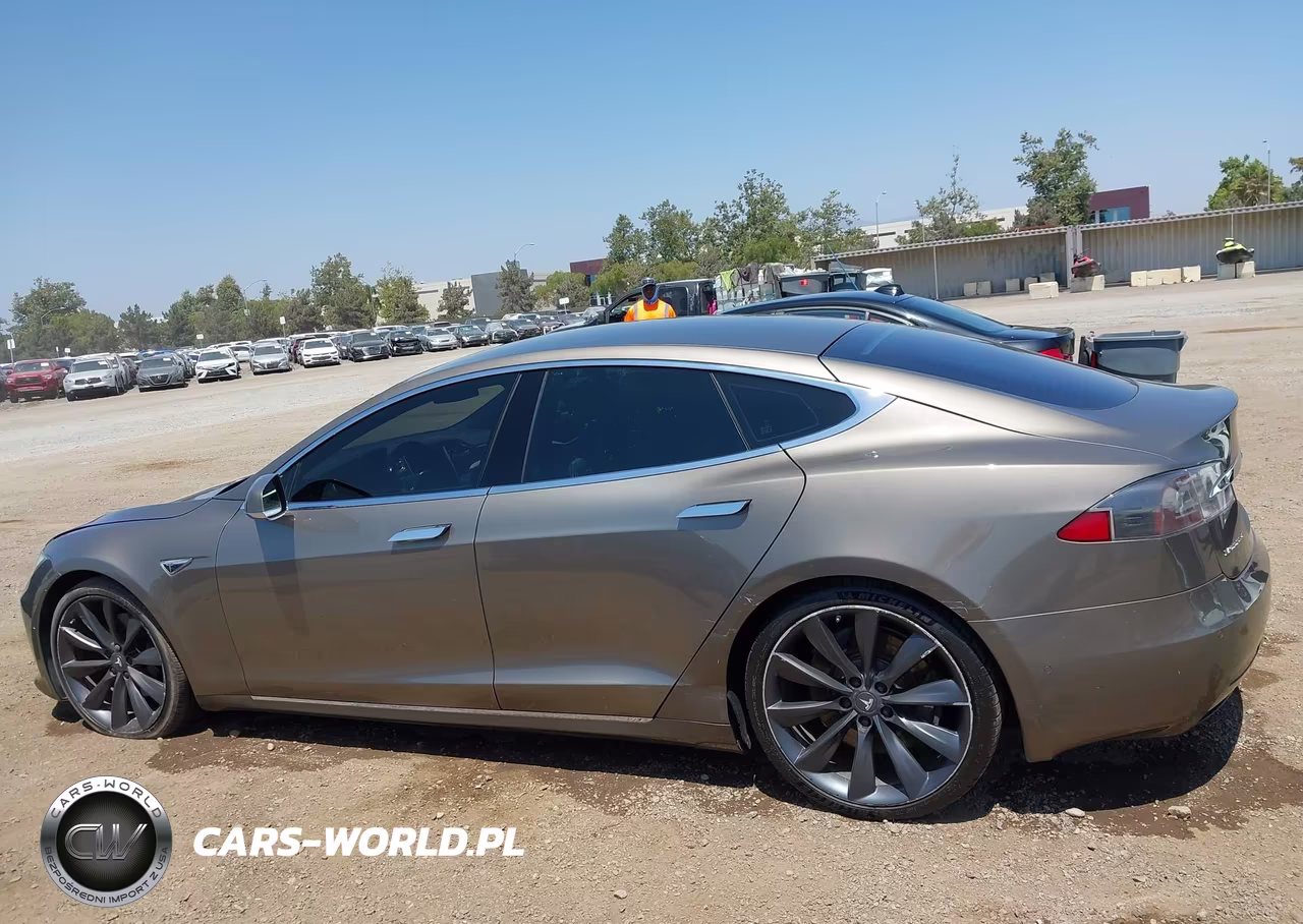2016 Tesla Model S 60-70-75-85 VIN:5YJSA1E19GF138175 - 14