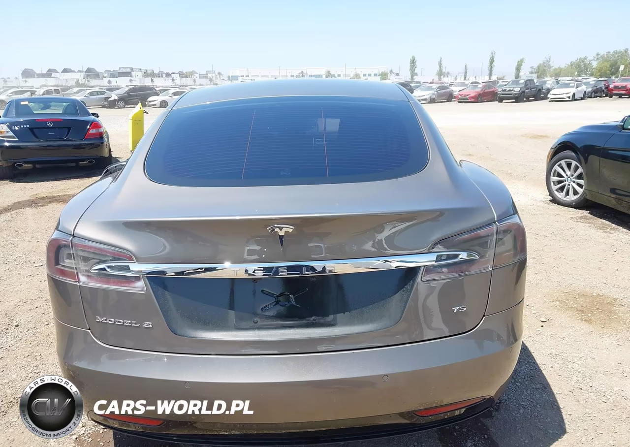 2016 Tesla Model S 60-70-75-85 VIN:5YJSA1E19GF138175 - 16