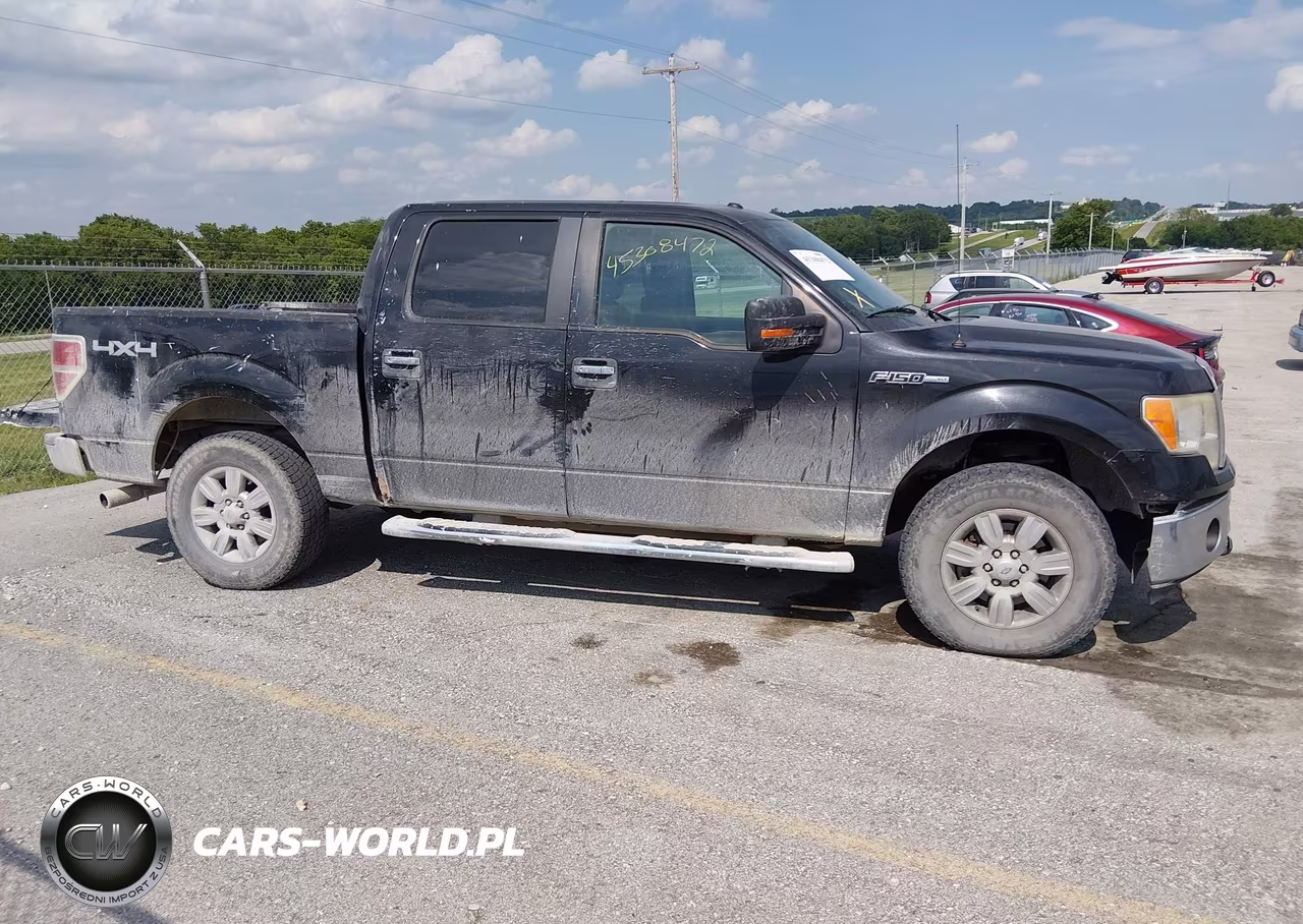 2011 Ford F-150 Xlt VIN:1FTFW1EFXBFB70488 - 13