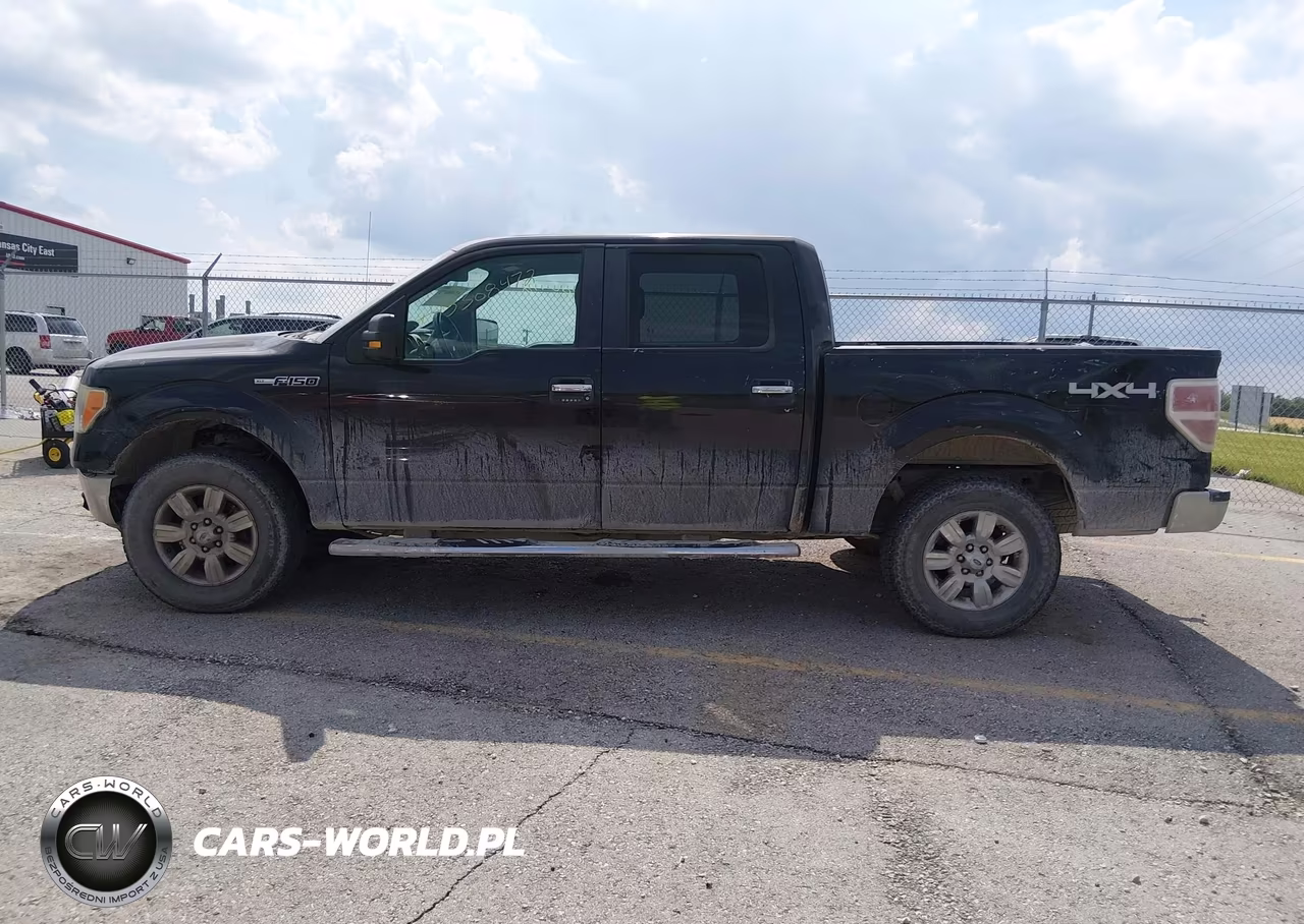 2011 Ford F-150 Xlt VIN:1FTFW1EFXBFB70488 - 14