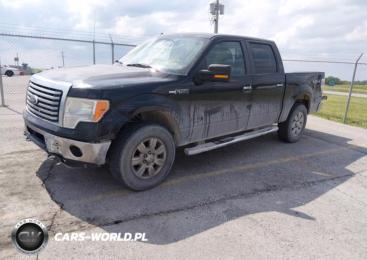 2011 Ford F-150 Xlt VIN:1FTFW1EFXBFB70488 - 2
