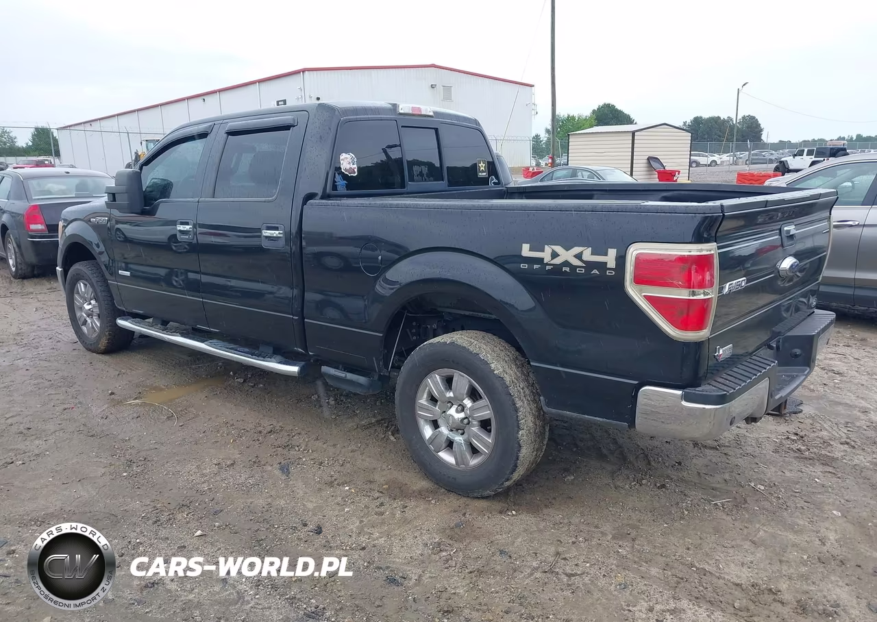 2012 Ford F-150 Xlt VIN:1FTFW1ET8CKE05047 - 3
