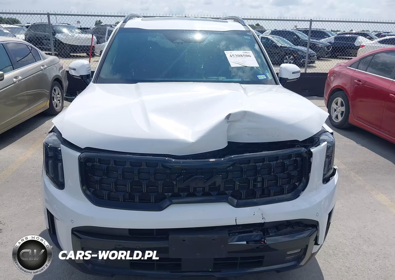 2025 Kia Telluride Sx Prestige X-Line VIN:5XYP5DGC1SG634972 - 12