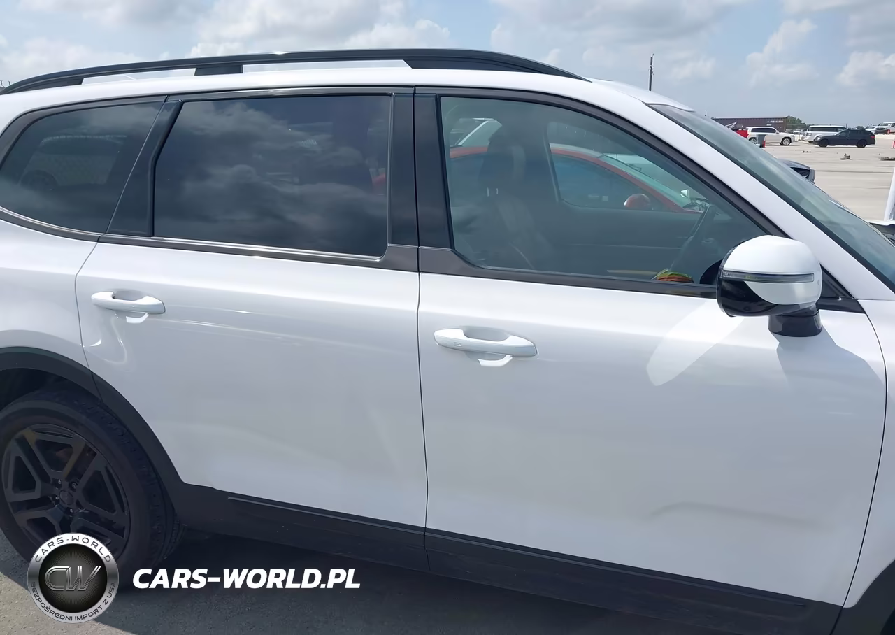 2025 Kia Telluride Sx Prestige X-Line VIN:5XYP5DGC1SG634972 - 13