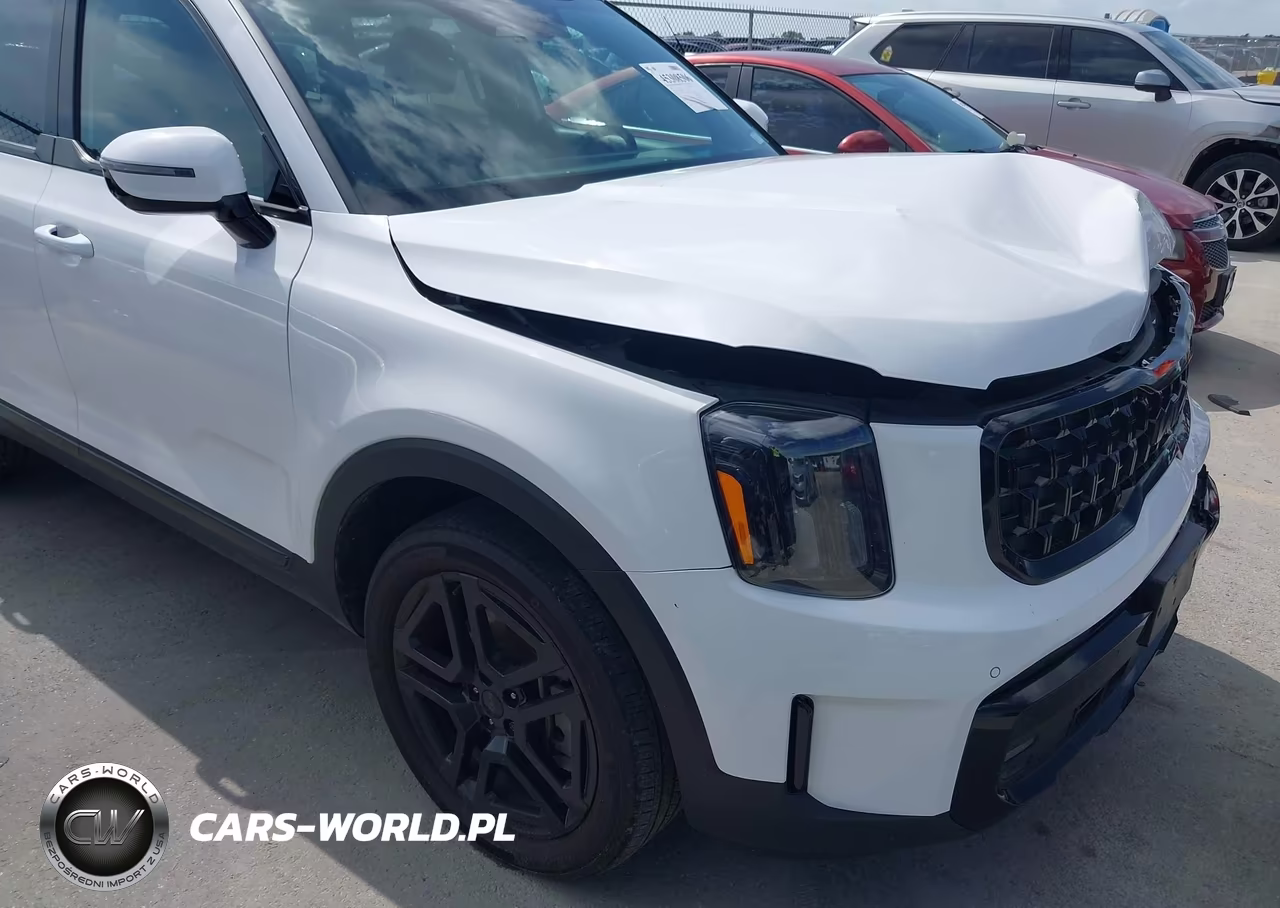 2025 Kia Telluride Sx Prestige X-Line VIN:5XYP5DGC1SG634972 - 17