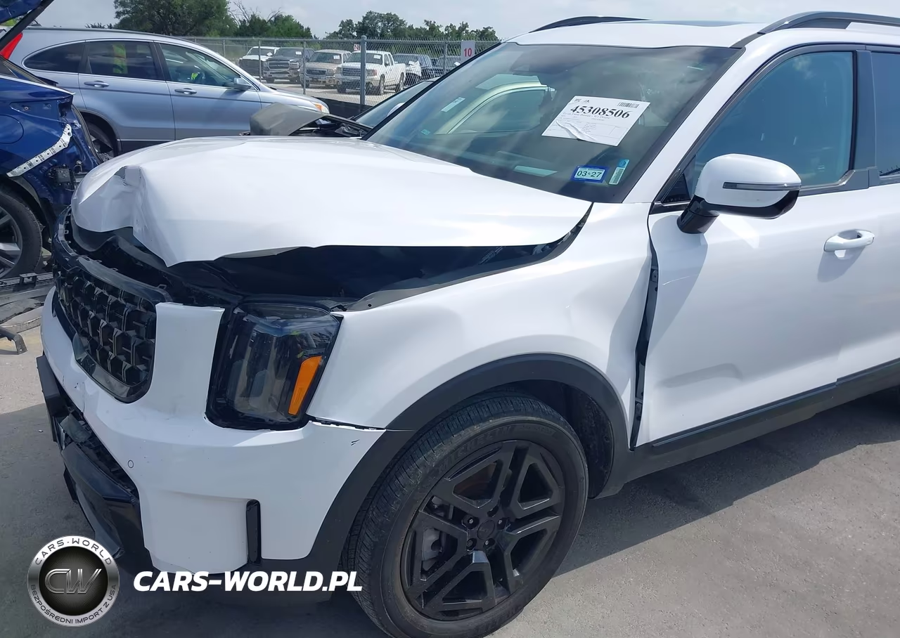 2025 Kia Telluride Sx Prestige X-Line VIN:5XYP5DGC1SG634972 - 18