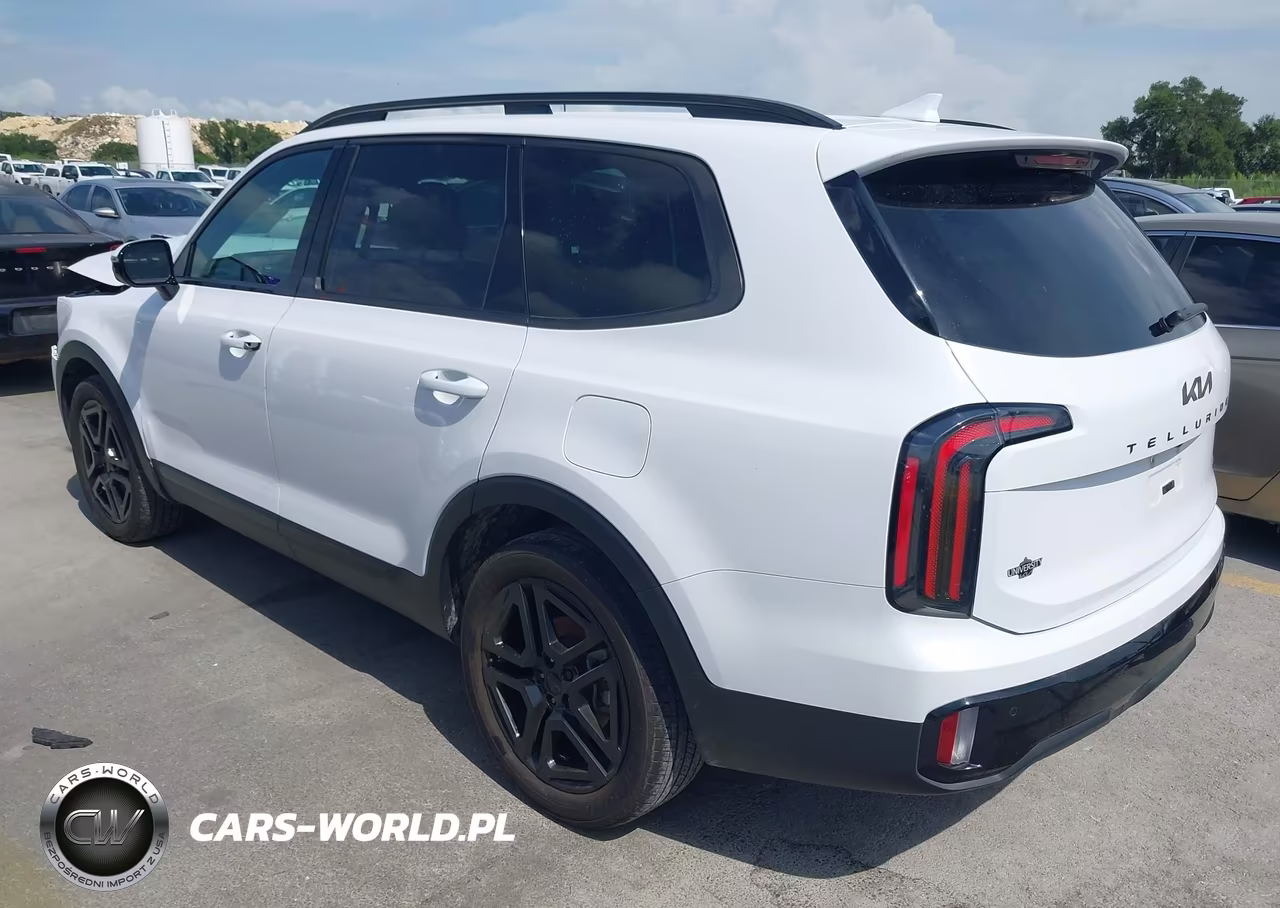 2025 Kia Telluride Sx Prestige X-Line VIN:5XYP5DGC1SG634972 - 3
