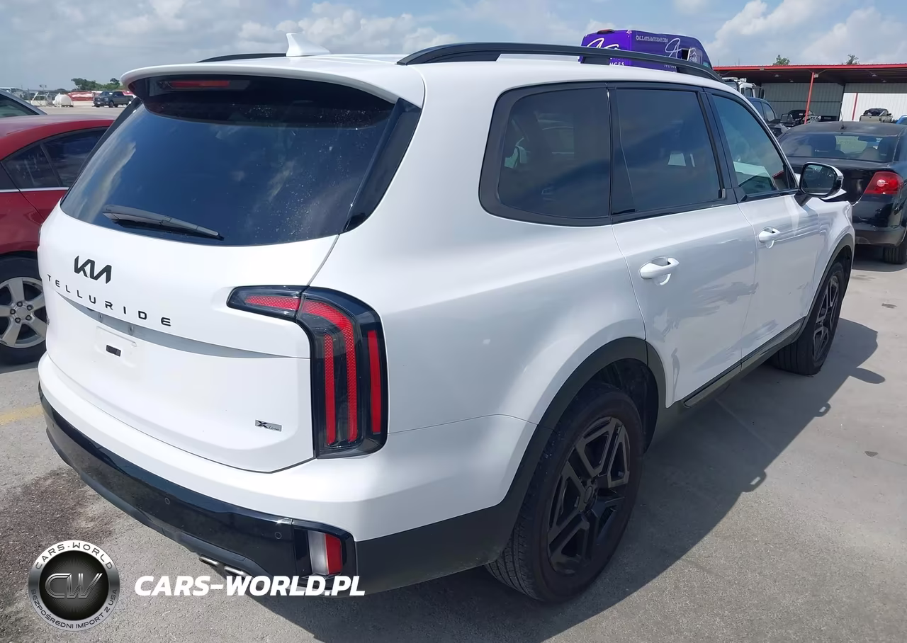 2025 Kia Telluride Sx Prestige X-Line VIN:5XYP5DGC1SG634972 - 4