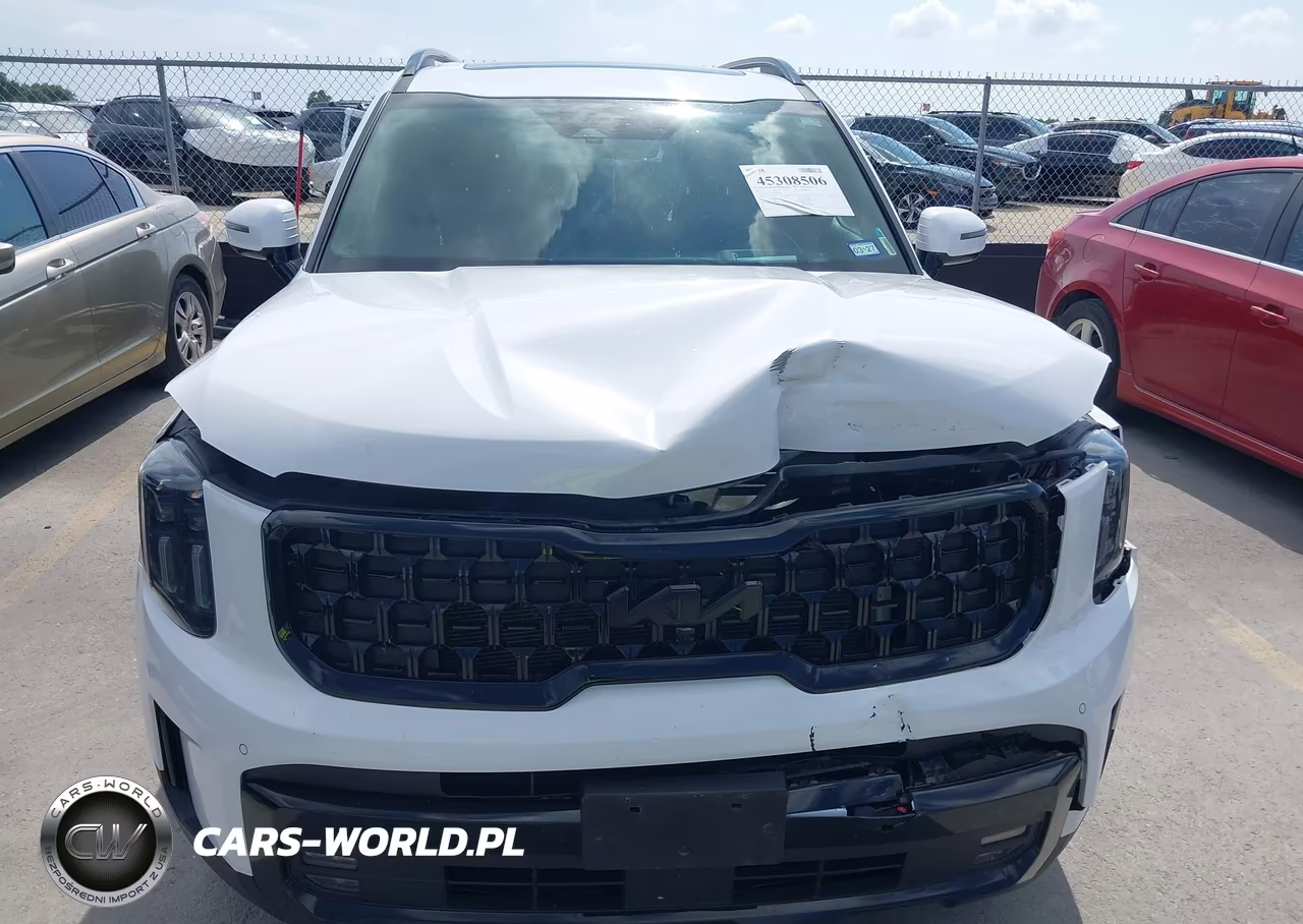 2025 Kia Telluride Sx Prestige X-Line VIN:5XYP5DGC1SG634972 - 6