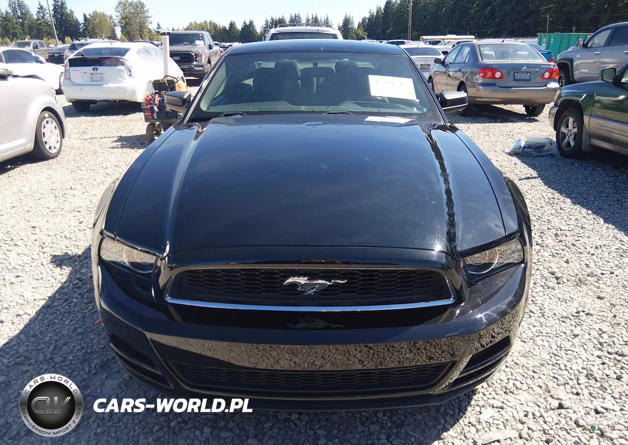 2014 Ford Mustang V6 VIN:1ZVBP8AM6E5270278 - 12