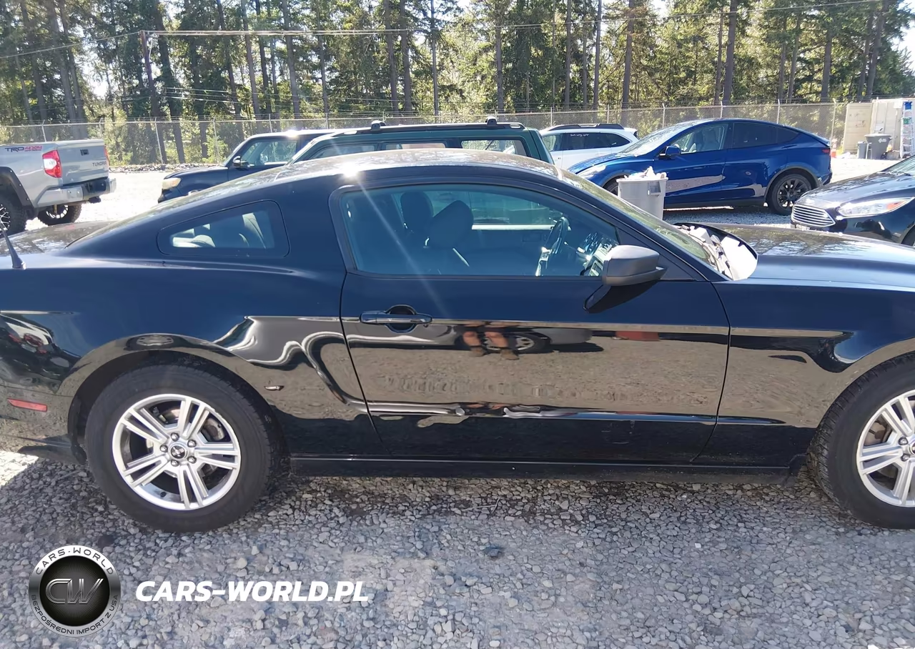 2014 Ford Mustang V6 VIN:1ZVBP8AM6E5270278 - 13