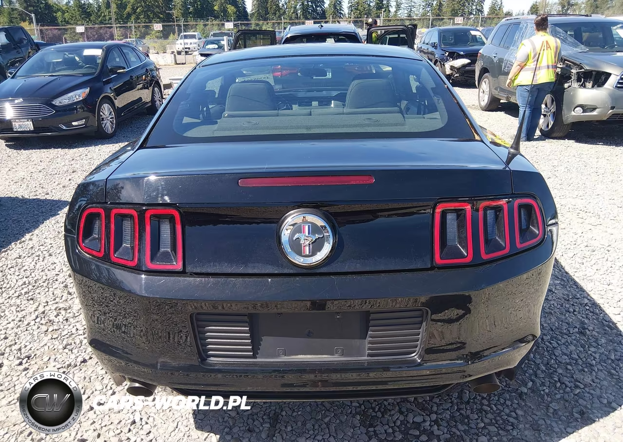 2014 Ford Mustang V6 VIN:1ZVBP8AM6E5270278 - 16