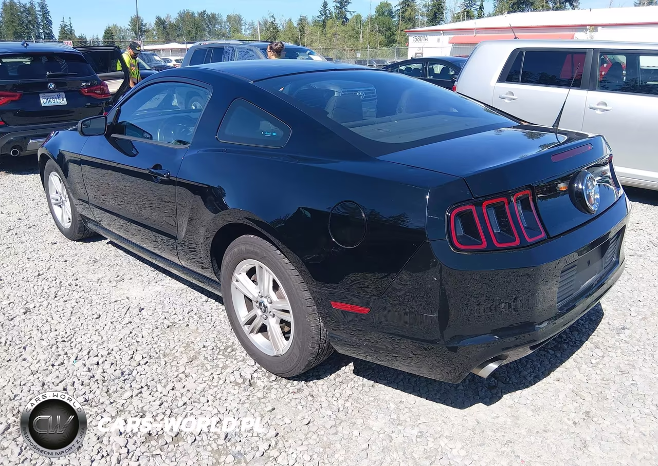 2014 Ford Mustang V6 VIN:1ZVBP8AM6E5270278 - 3