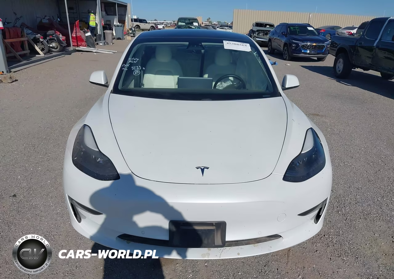 2021 Tesla Model 3 Standard Range Plus Rear-Wheel Drive VIN:5YJ3E1EA8MF873198 - 13
