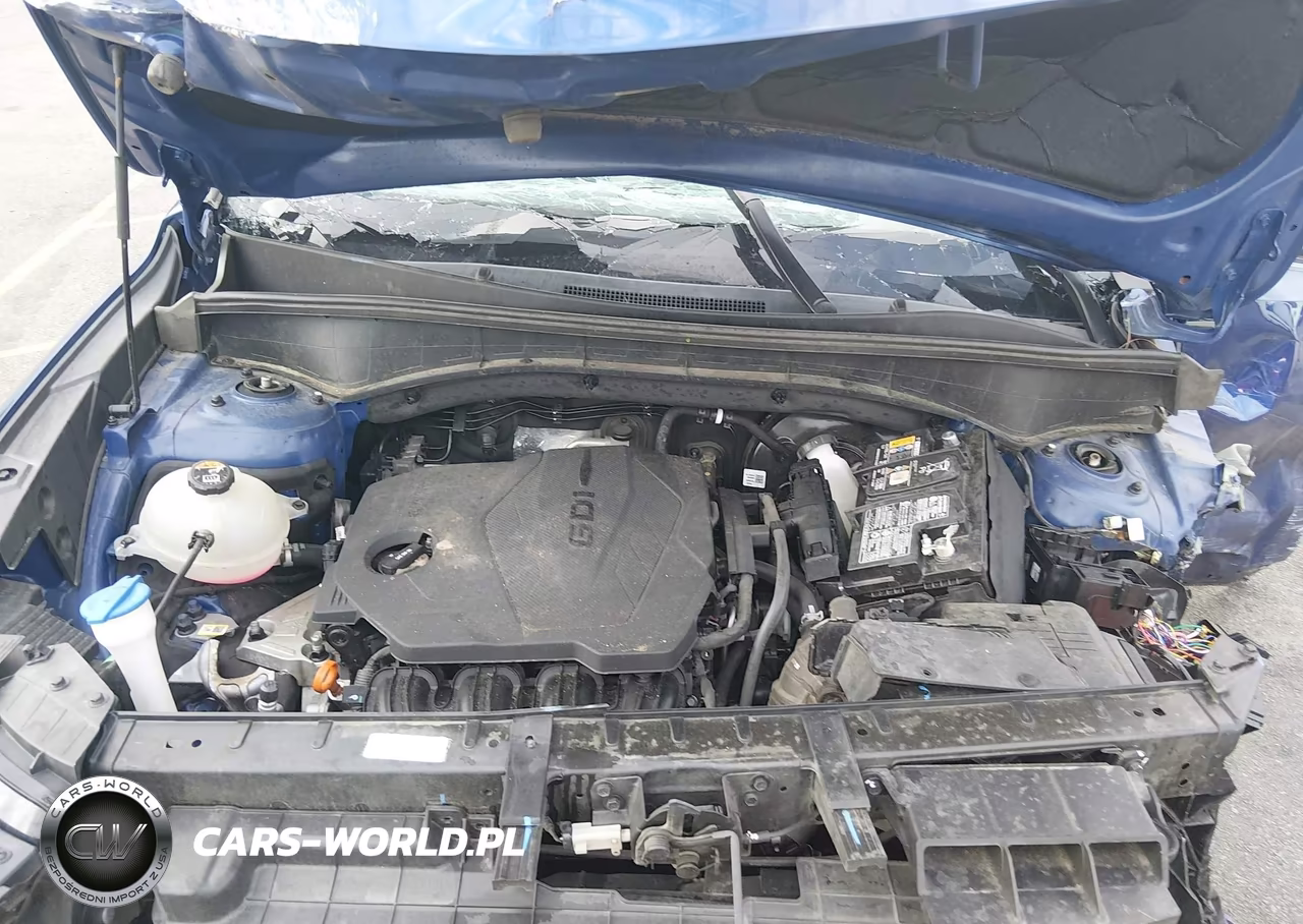 2023 Kia Sorento S VIN:5XYRL4LC6PG244252 - 10