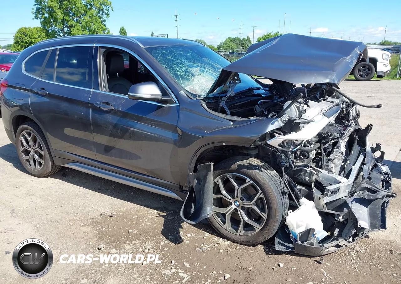 2020 BMW X1 xDrive28I VIN:WBXJG9C01L5R11609 - 12