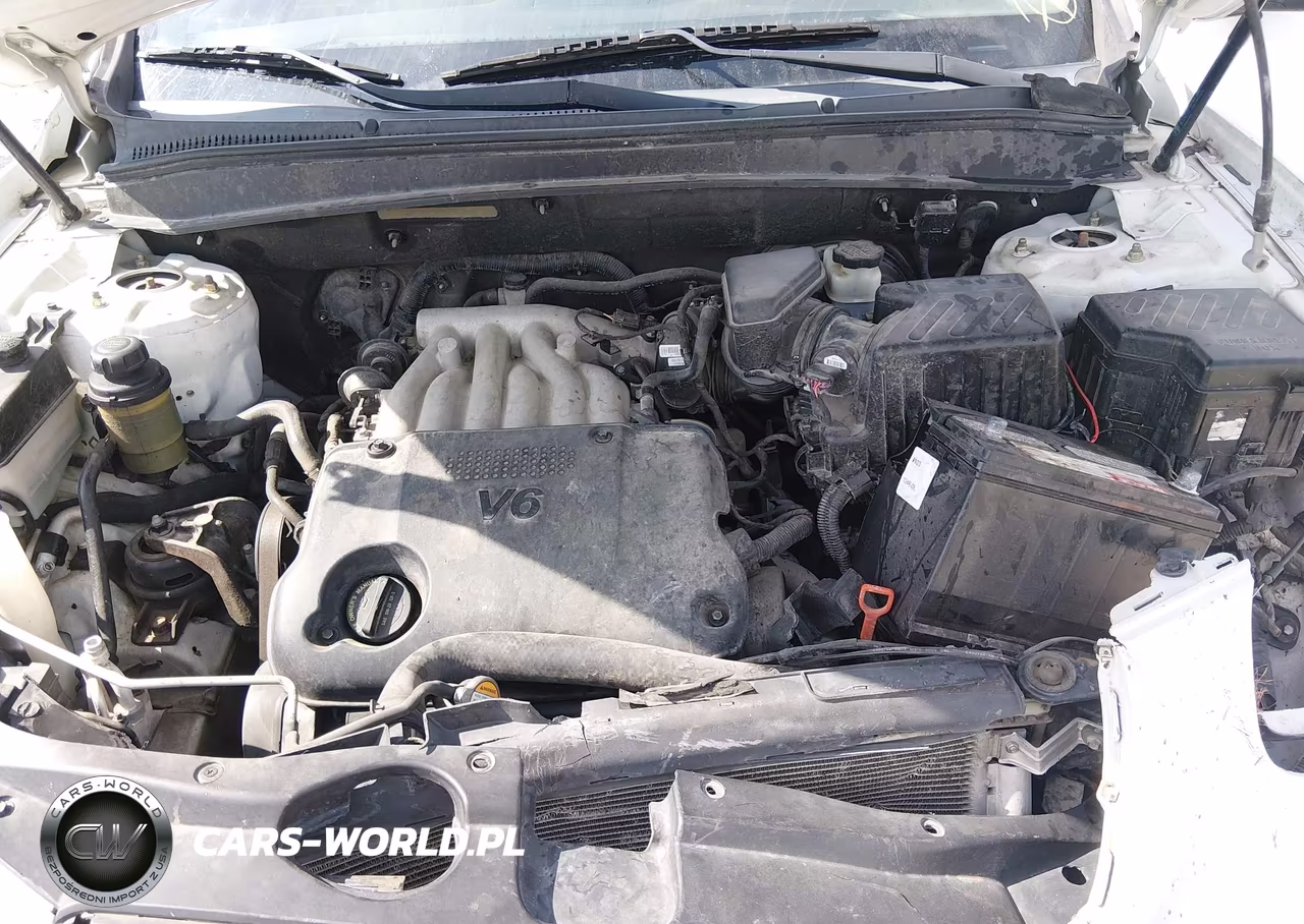 2009 Hyundai Santa Fe Gls VIN:5NMSG13D29H272412 - 10