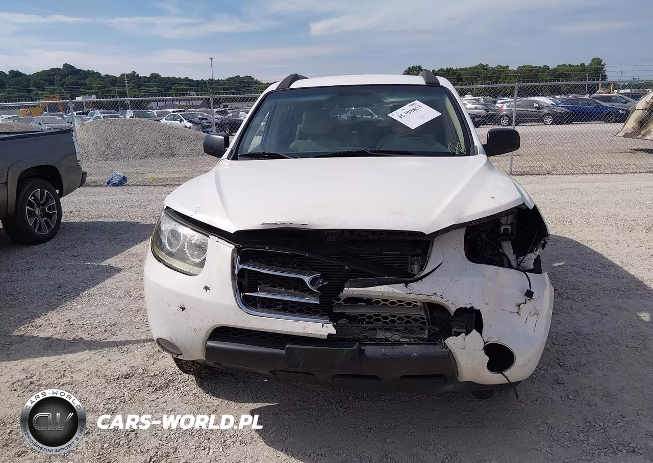 2009 Hyundai Santa Fe Gls VIN:5NMSG13D29H272412 - 13