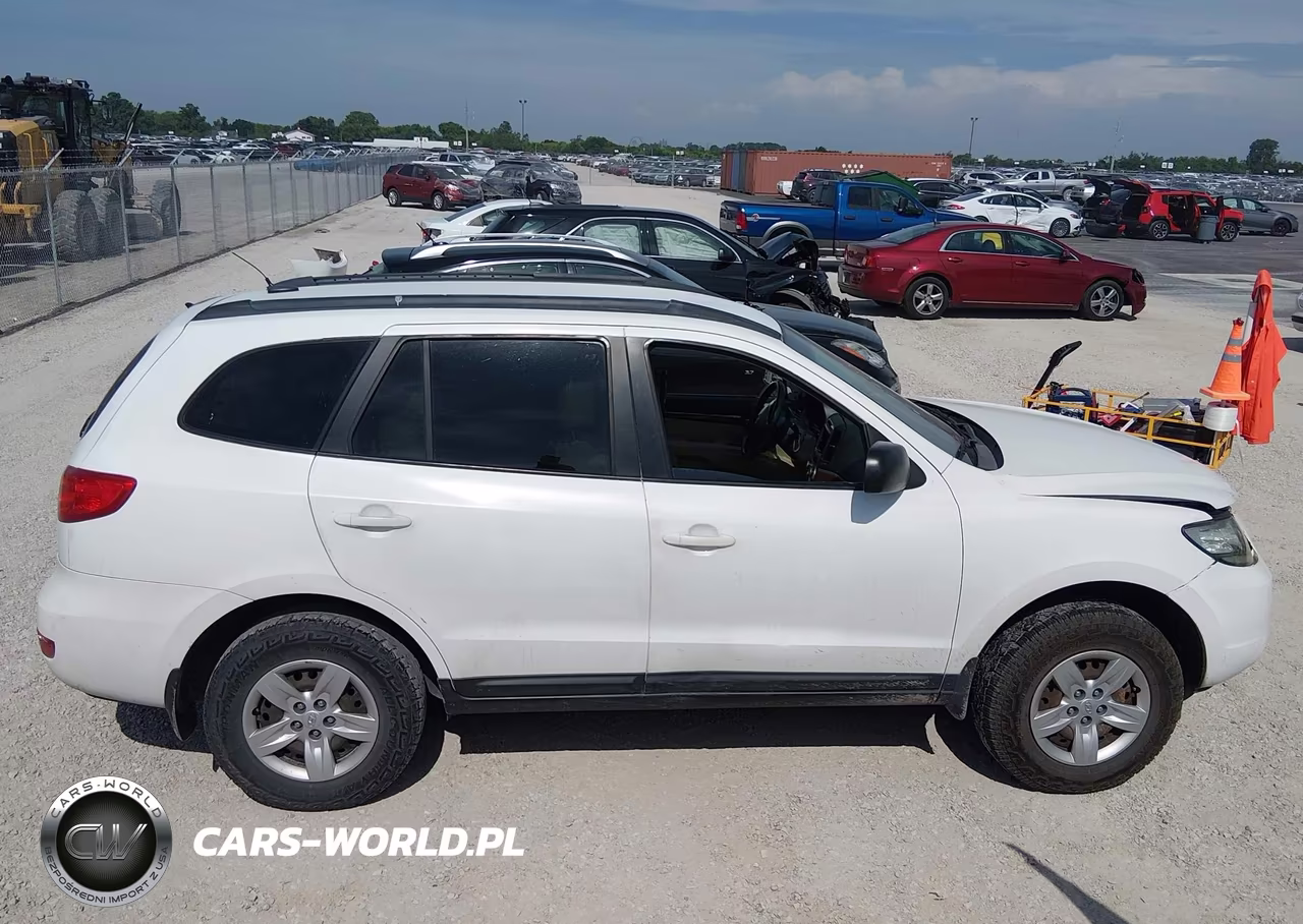 2009 Hyundai Santa Fe Gls VIN:5NMSG13D29H272412 - 14