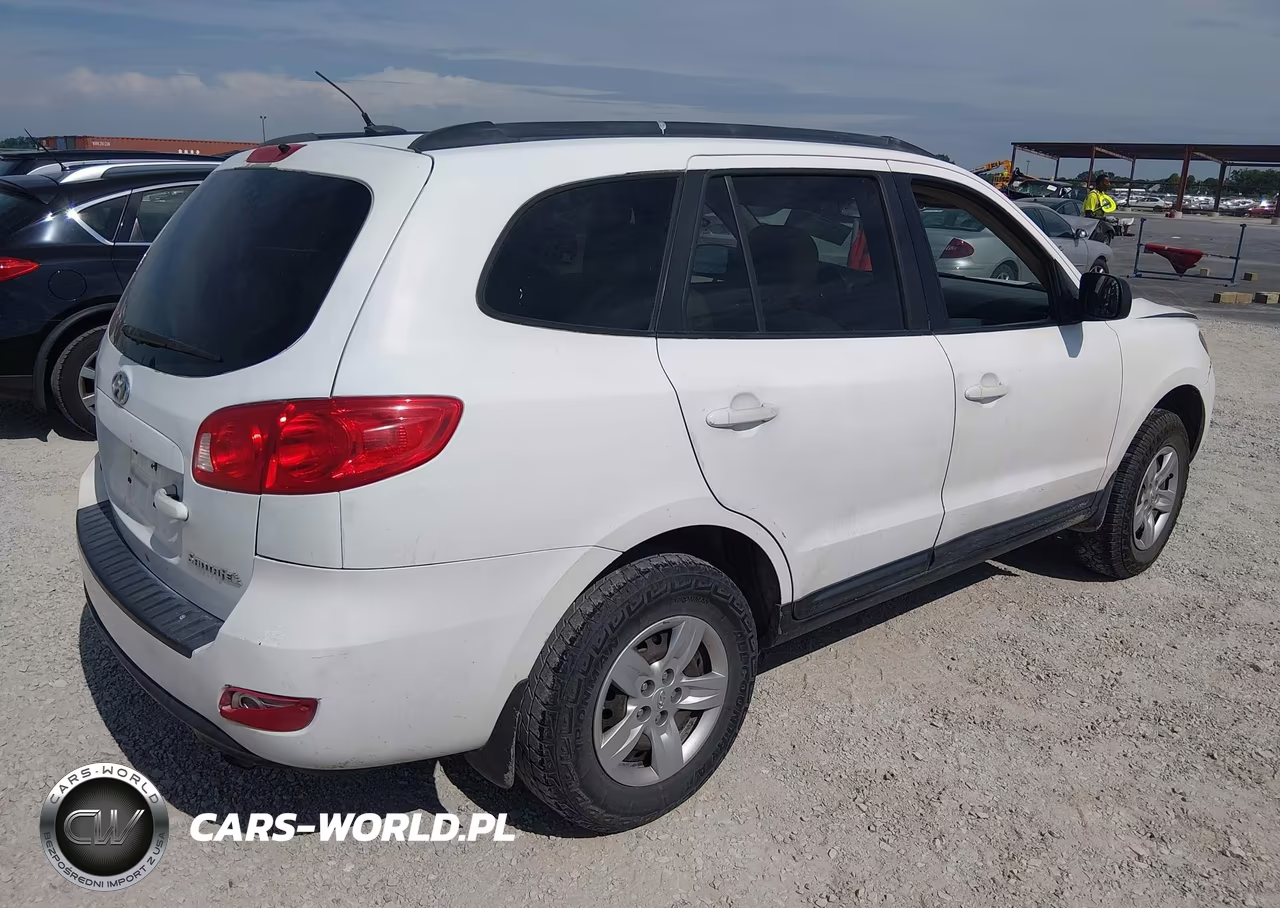 2009 Hyundai Santa Fe Gls VIN:5NMSG13D29H272412 - 4